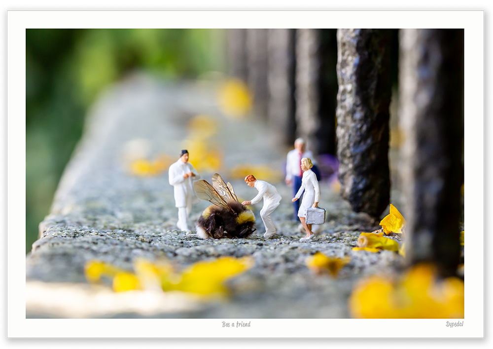 Bee a friend 30x21