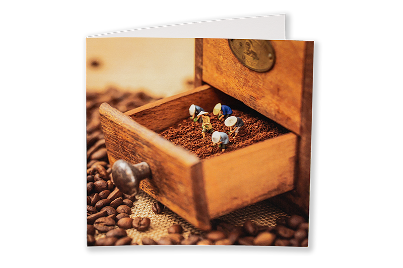 Dobbelt kort - Coffee-Farming