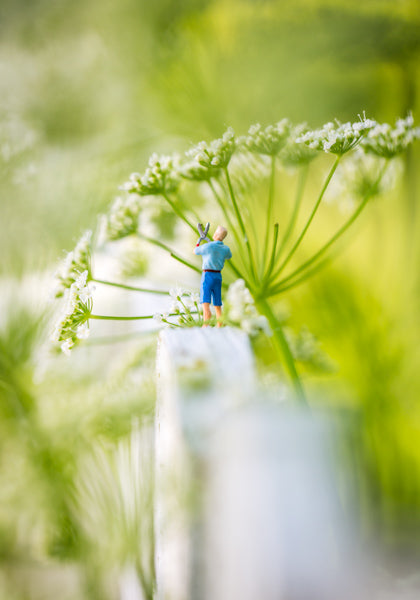 Postkort - Gardening