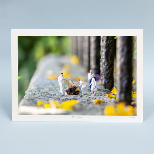Bee a friend 30x21