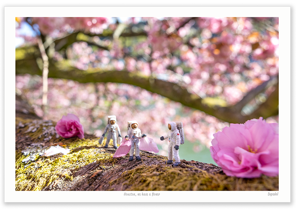 Houston, we have a flower A4