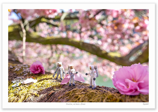 Houston, we have a flower A4