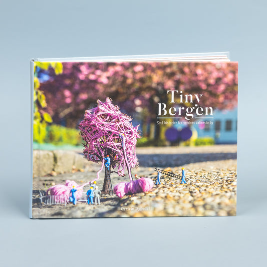 Tiny Bergen - Gatekunstbok